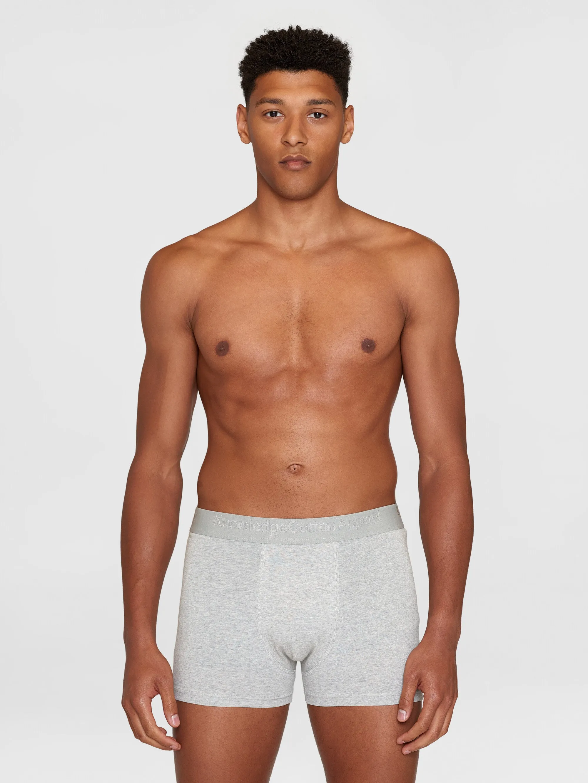 2 pack underwear - GOTS/Vegan - Grey Melange