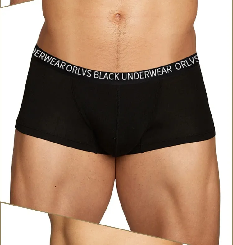 BB Boxer Briefs