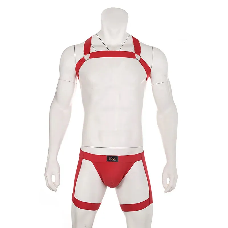 BNDG Harness & Briefs