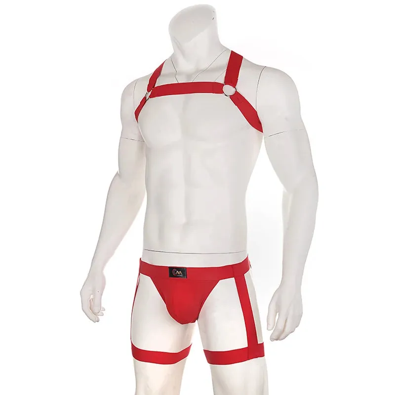 BNDG Harness & Briefs