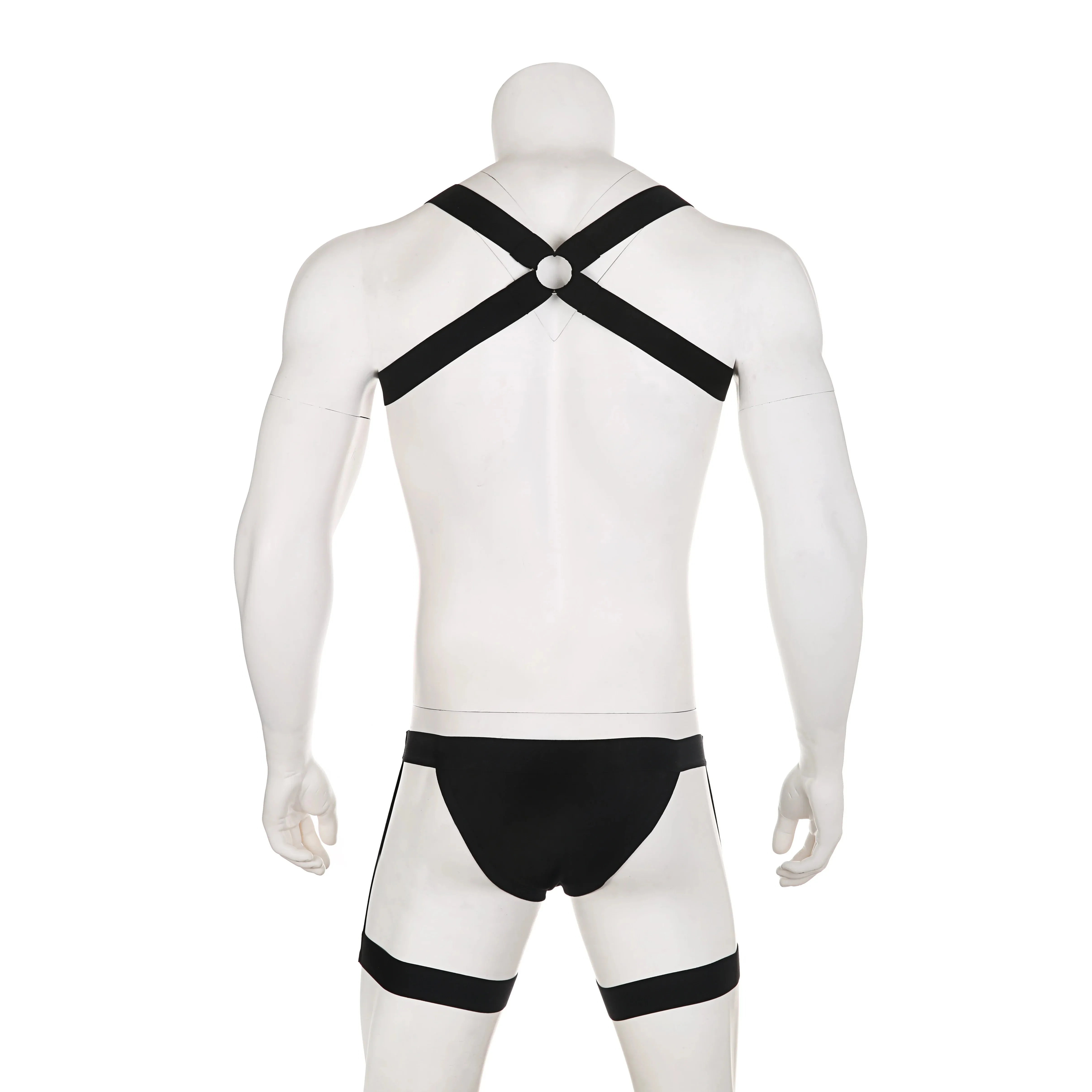 BNDG Harness & Briefs