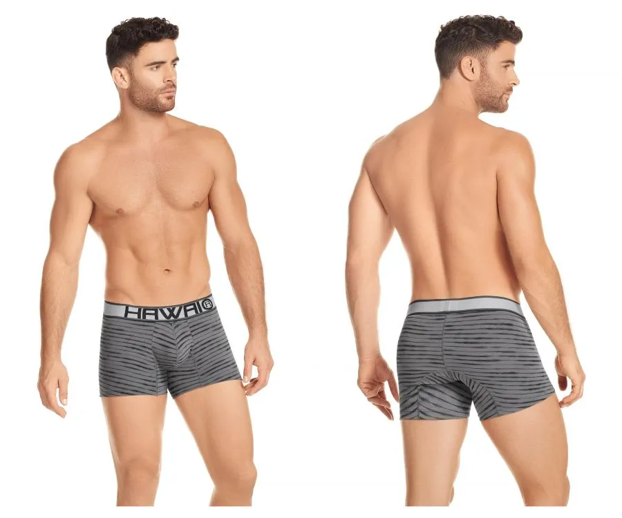 HAWAI 41972 Boxer Briefs Color Gray