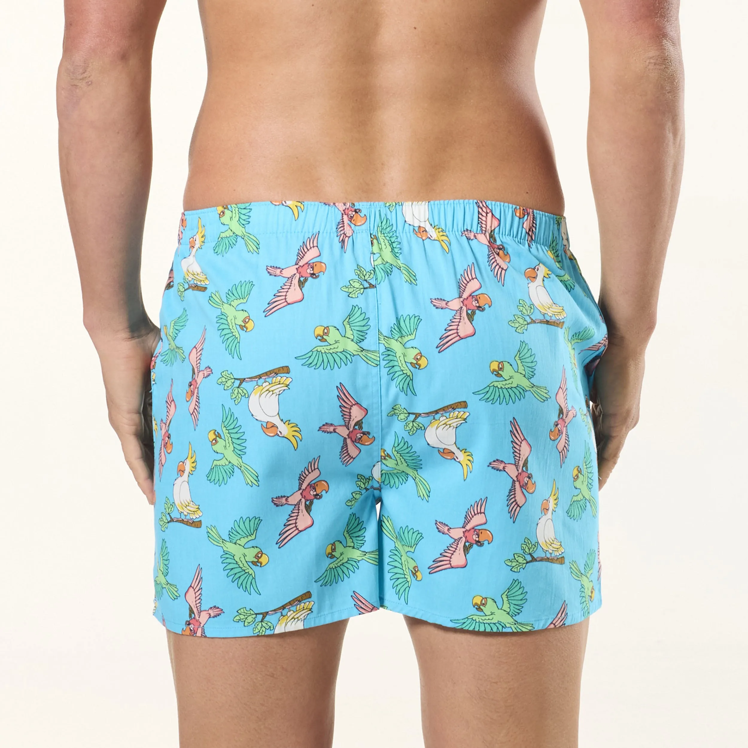 Men's Swooping Birds Cotton Boxer Short 3 Pack - Blue