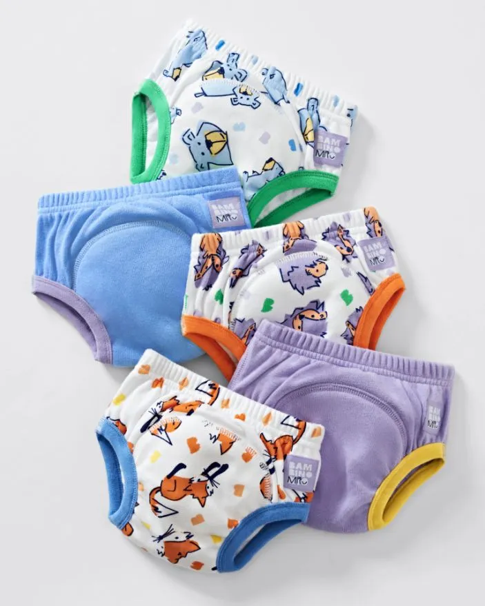 Revolutionary Reusable potty training pants, 5 pack